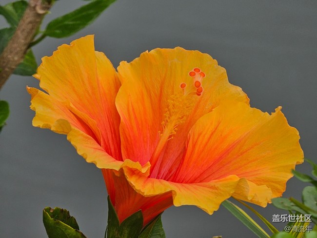 【迎春，在冬末】3月