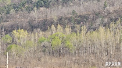 【镜藏万象】春意盎然