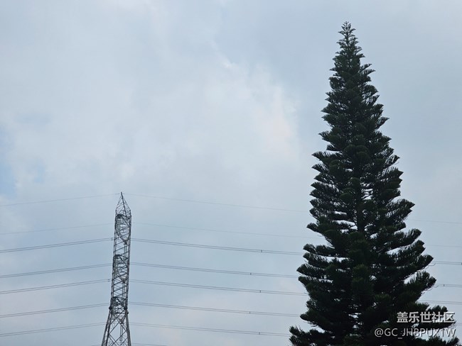 【迎春，在冬末】春日记忆