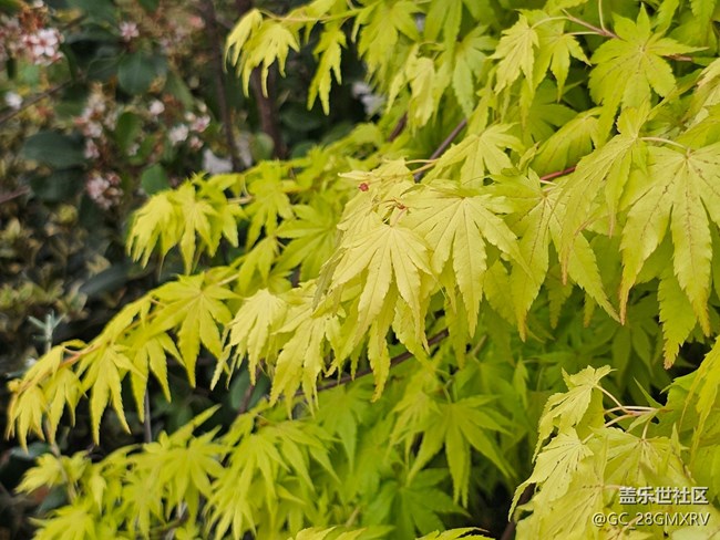 【途有春光】途中春光