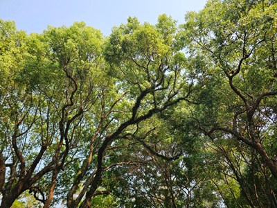 【镜藏万象】晴朗好天气