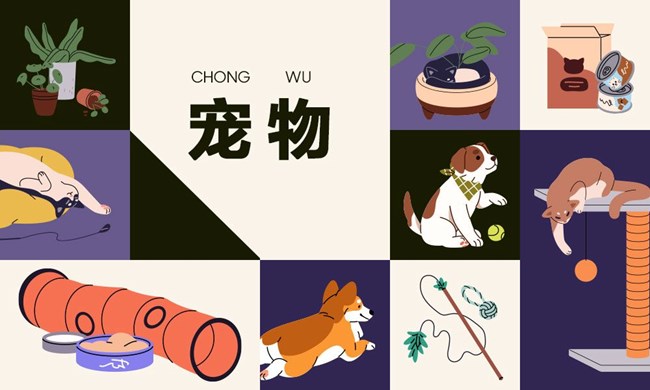 2026年盖乐世社区版块活动4月第一周