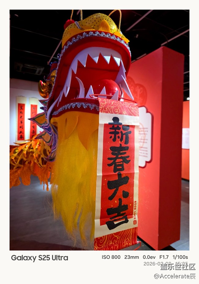 星聚年俗，定格美好｜“星粉嘉年华”线下活动回顾