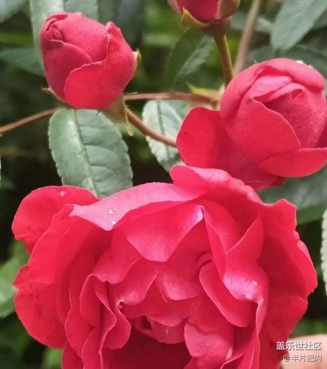 【人间四月天】出去玩