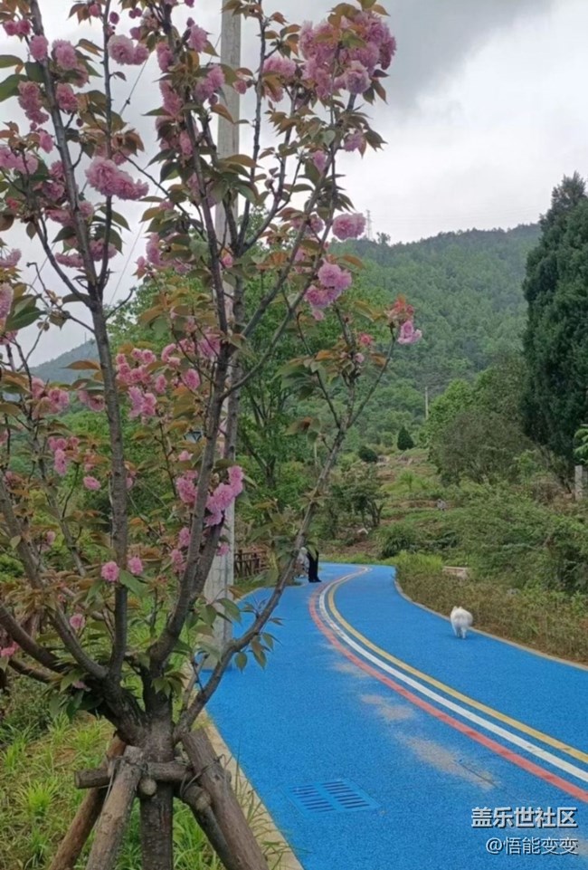 【人间四月天】后山散步