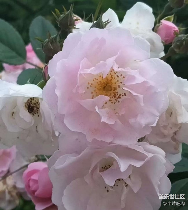 【人间四月天】出去玩