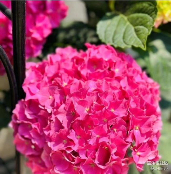 【人间四月天】美丽春天