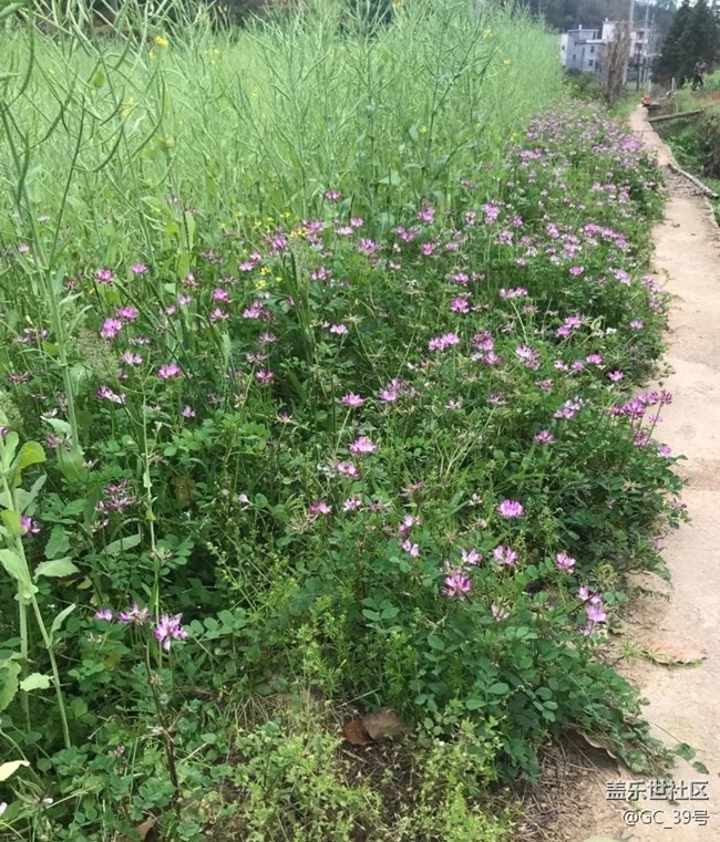 【人间四月天】回乡祭祖