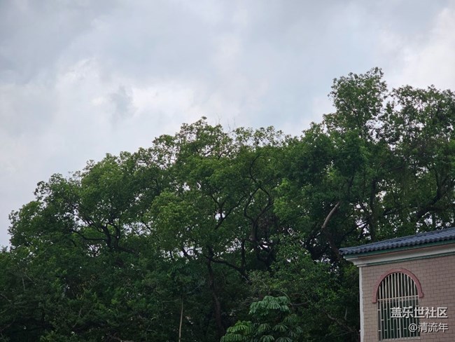 【人间四月天】四月小拍