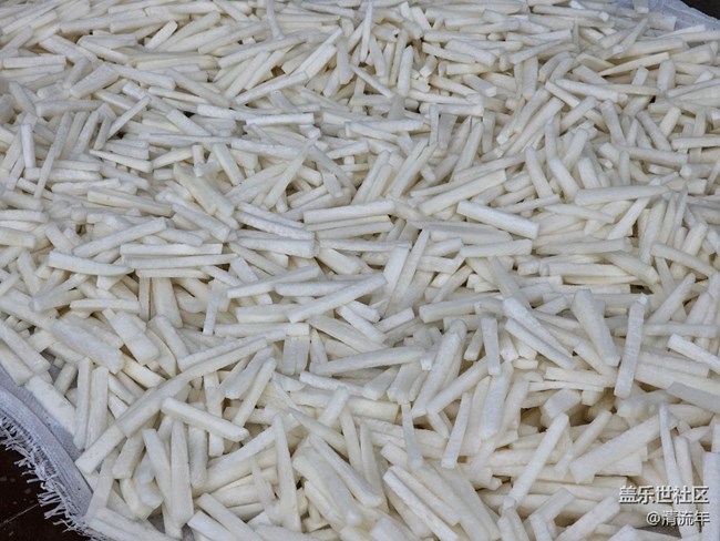 【人间四月天】四月小拍