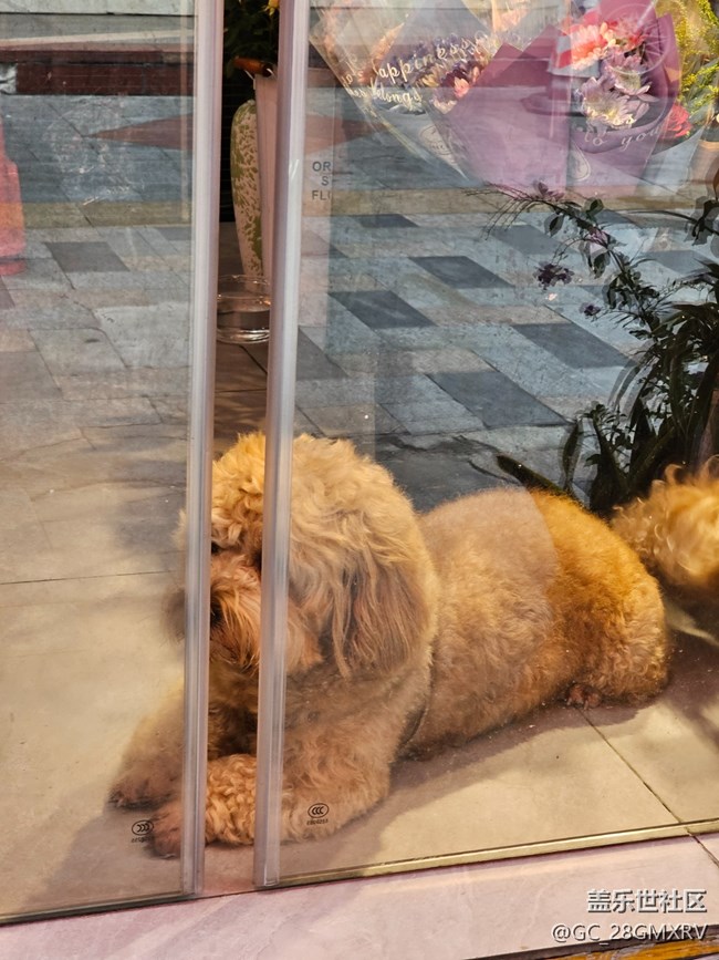 【人间四月天】户外好时光