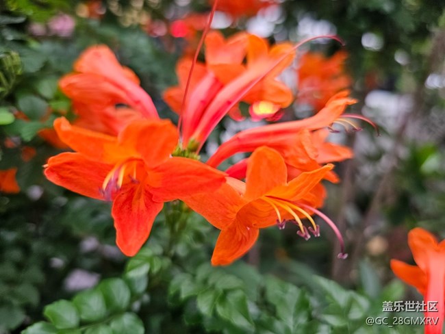 【人间四月天】户外好时光