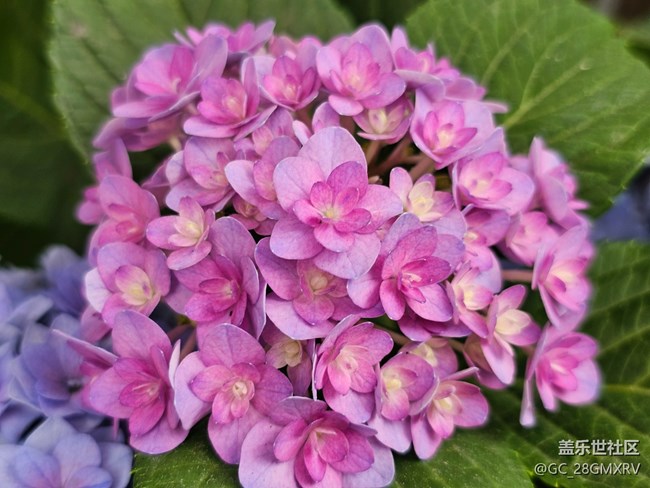 【人间四月天】户外好时光