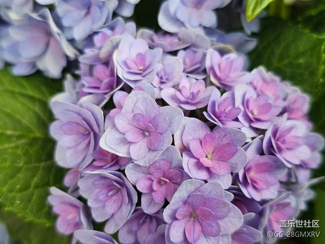 【人间四月天】户外好时光