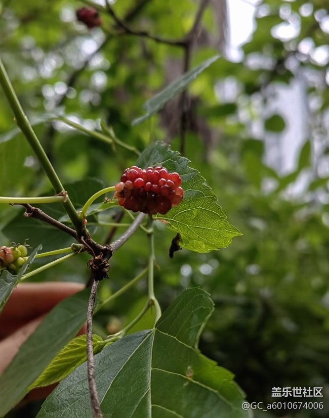 【踏青闲步】春来到