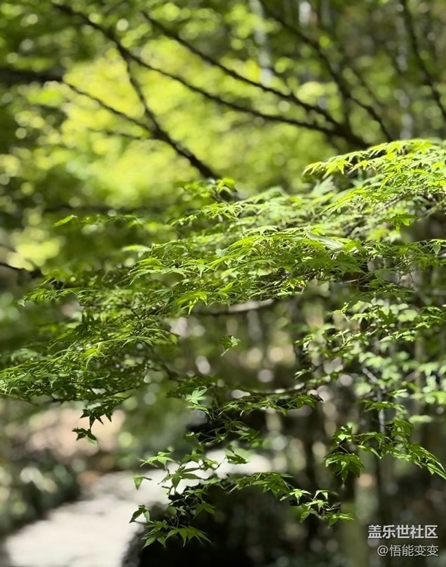 【踏青闲步】好风景