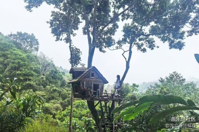 【踏青闲步】海南五指山