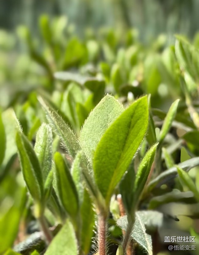 【踏青闲步】好风景