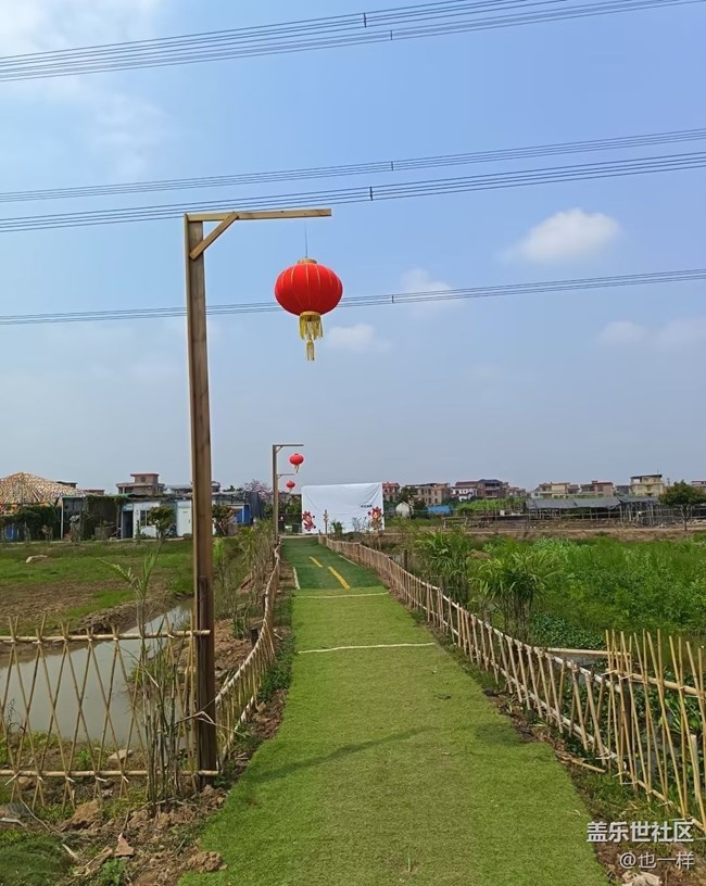 【踏青闲步】农场