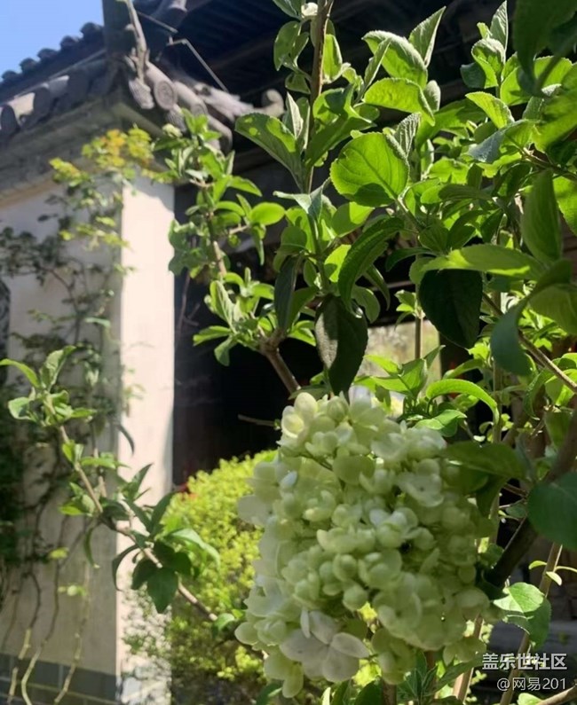 【踏青闲步】赏花