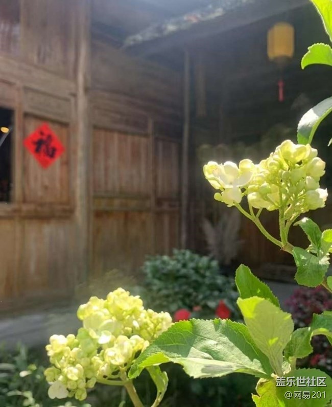 【踏青闲步】赏花