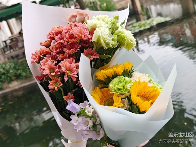 【拾光漫步】晚上散步逛逛街，白天散步买束花