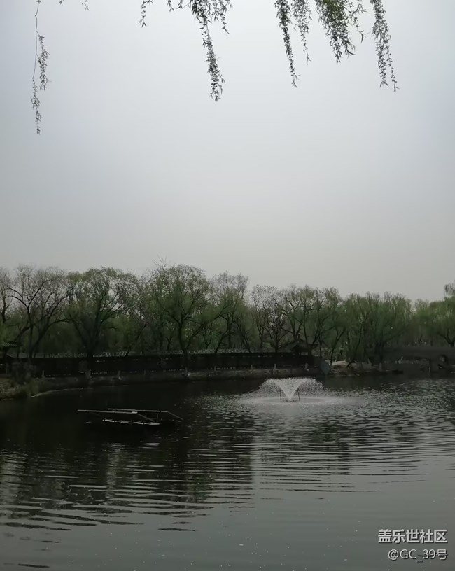 【踏青闲步】湖边春色