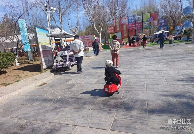 【踏青闲步】好春光