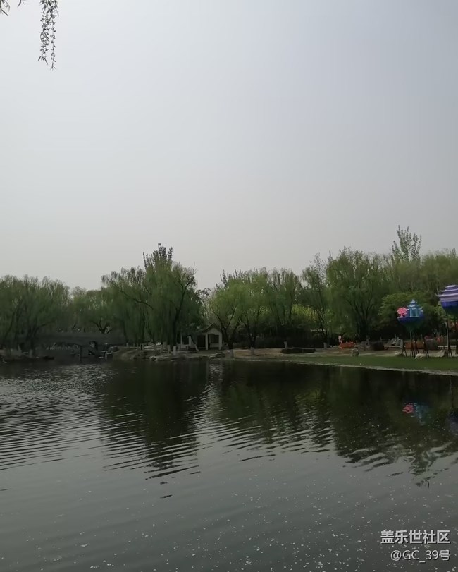 【踏青闲步】湖边春色