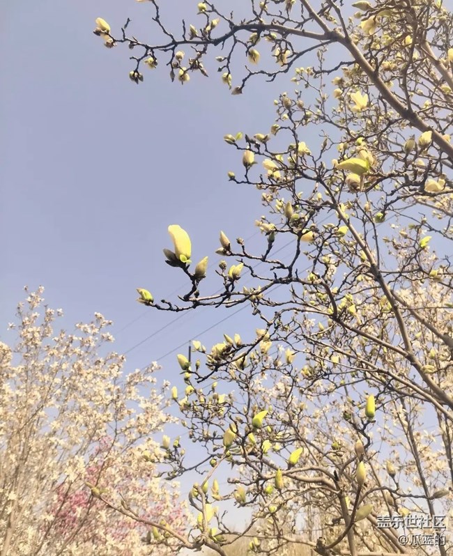 【踏青闲步】赏花去