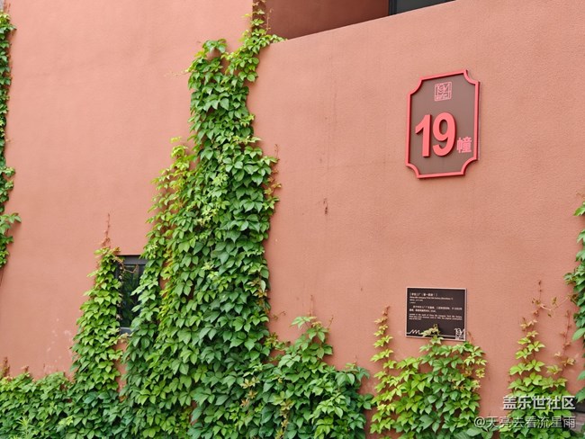 【浅春初色】一抹温柔的开始