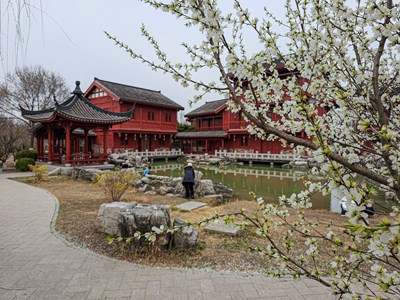 Galaxy S23 Ultra 春日小拍