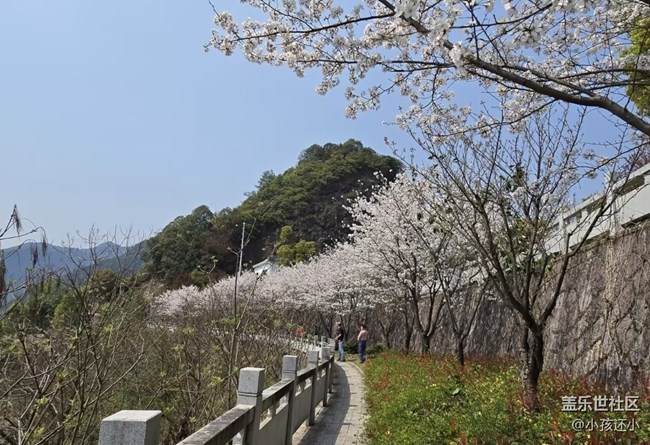【踏青闲步】踏青赏花