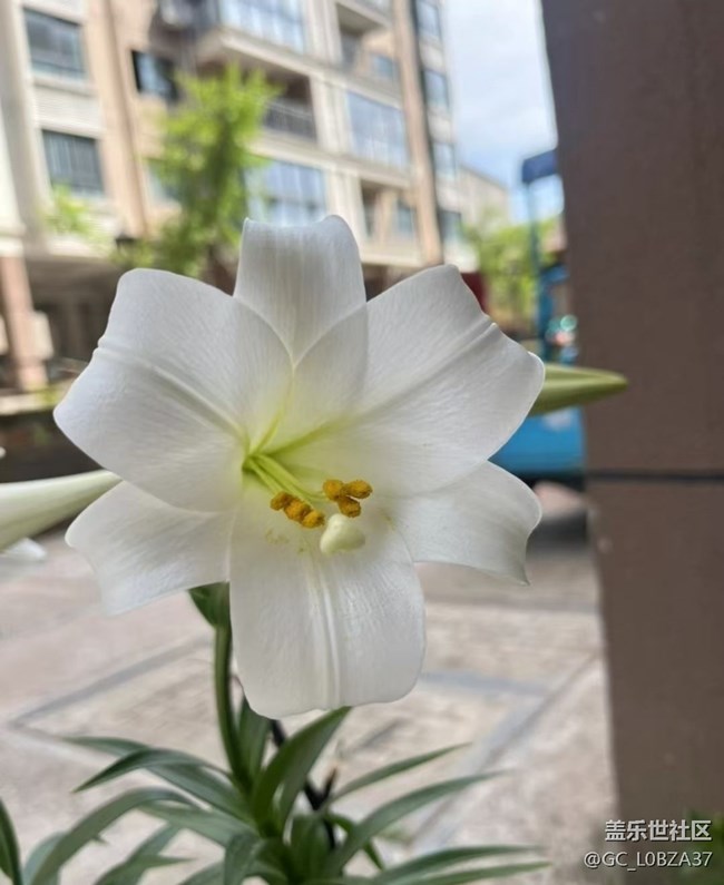 【踏青闲步】静待花开