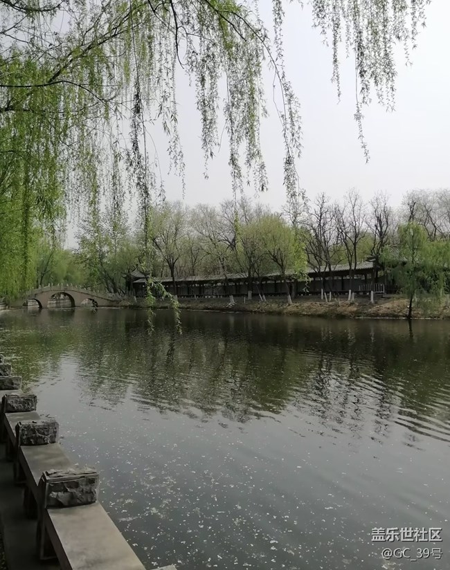 【踏青闲步】湖边春色