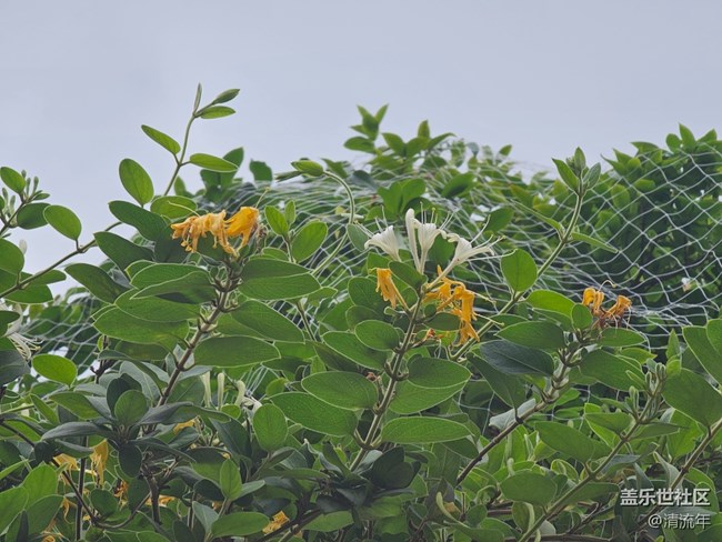 【踏青闲步】踏青