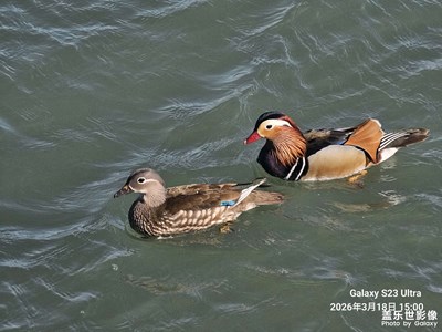 【行走的风景】+颐和踏春（四）