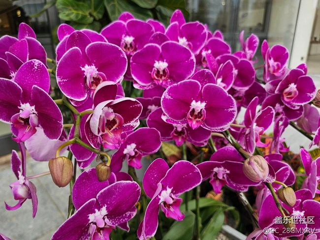 【踏青闲步】公园游