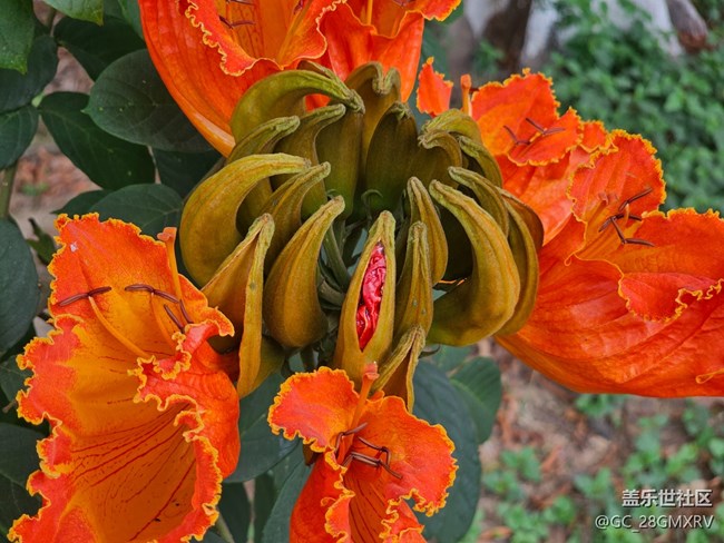 【踏青闲步】公园游