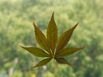 【行走的风景】步步皆景