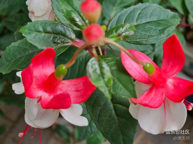 【踏青闲步】踏青