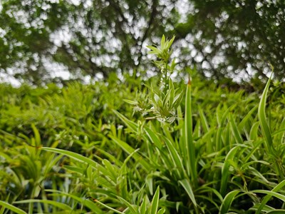 【行走的风景】阳光正好