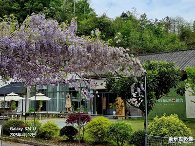 湖北十堰东沟杜鹃岭