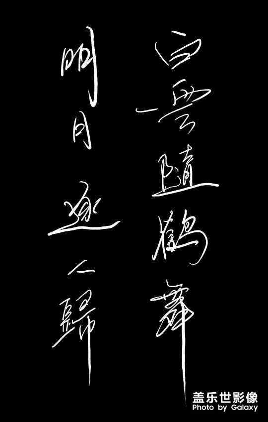 白云随鹤舞，明月逐人归。