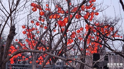 【我家乡的春节】+过年的气氛