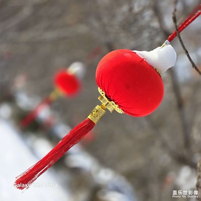 我家乡的春节