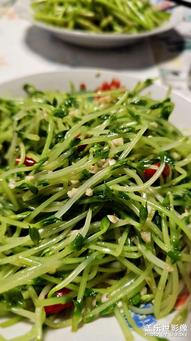 普通人  普通饭