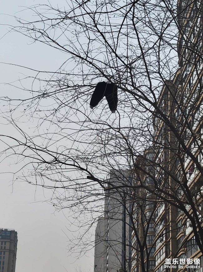 孤独