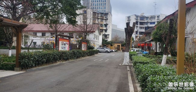 每日一贴