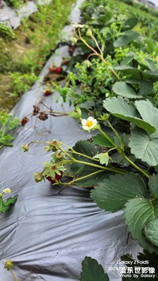 【用镜头丈量世界】天然